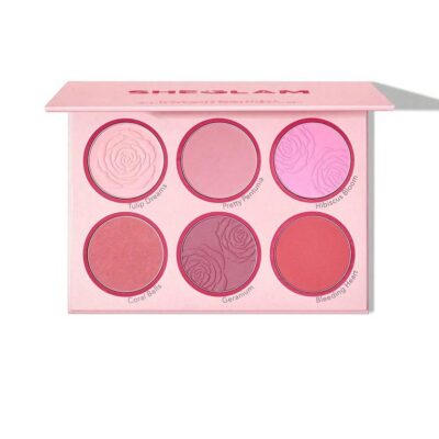 رژگونه 6 رنگ پودری طرح شیگلم